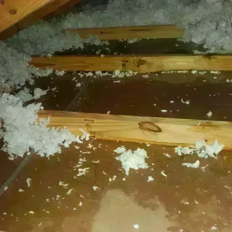 Attic Water Damage in Pine Manor, FL